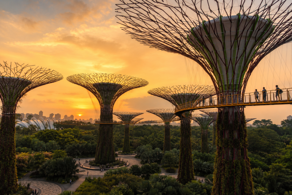 Singapore on a budget guide — Supertree Grove at golden hour representing the city's free outdoor attractions